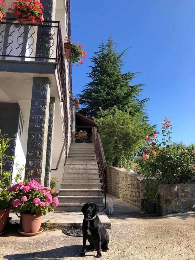 Apartman Villa Romana Grožnjan Eksteriør billede
