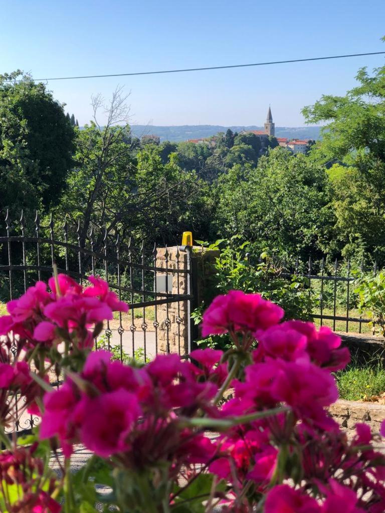 Apartman Villa Romana Grožnjan Eksteriør billede
